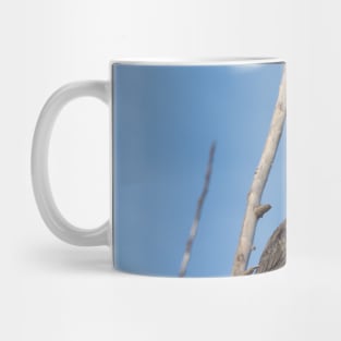 Double-crested Cormorant Perching On a Tree Branch Mug